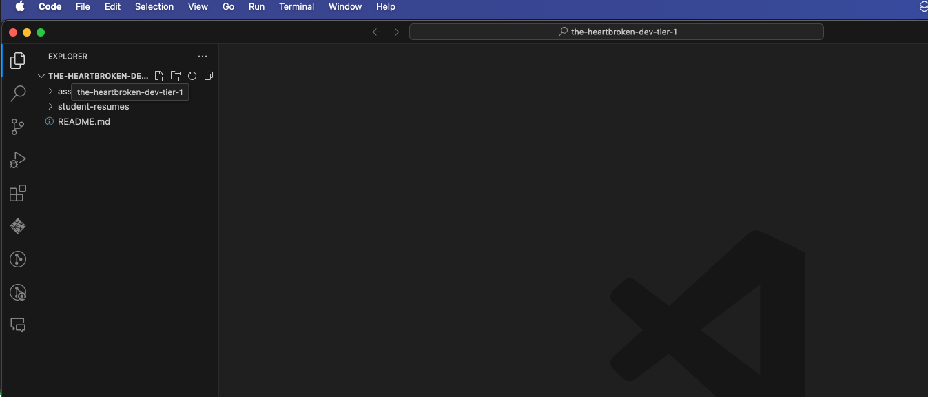 assets/vscode-opened-repo.png