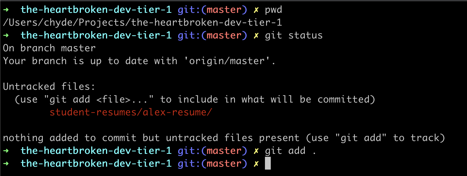 assets/git-add-command.png