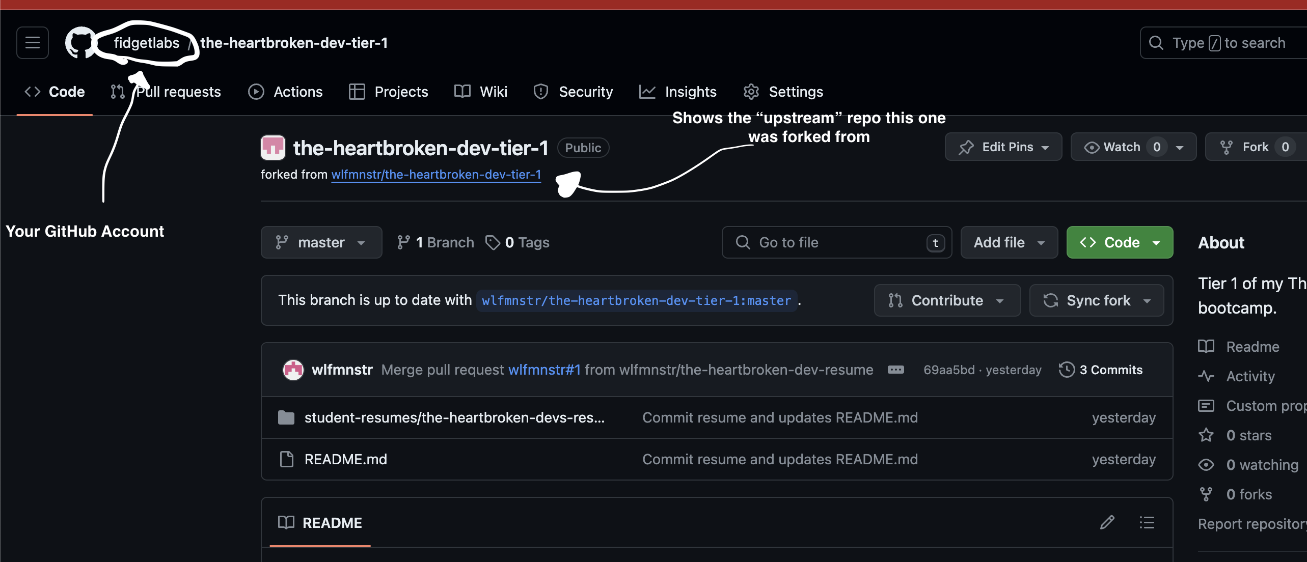your-new-forked-repo
