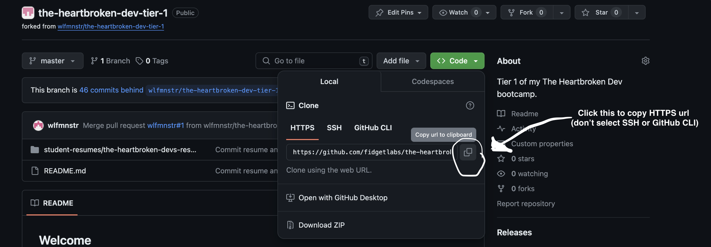 assets/copy-repo-url.png