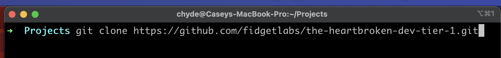 assets/git-clone-command.png